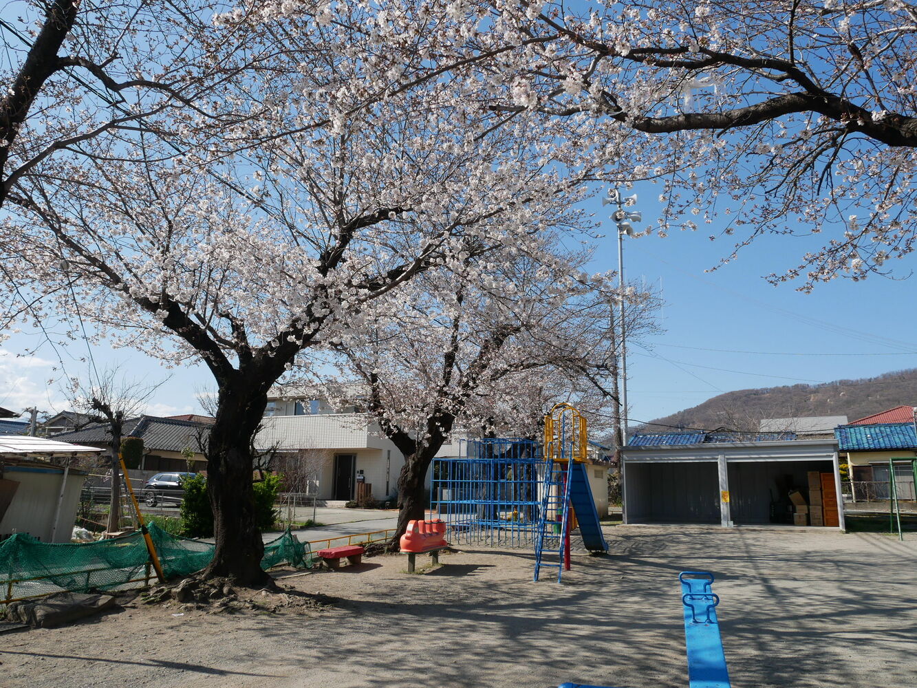 画像1274